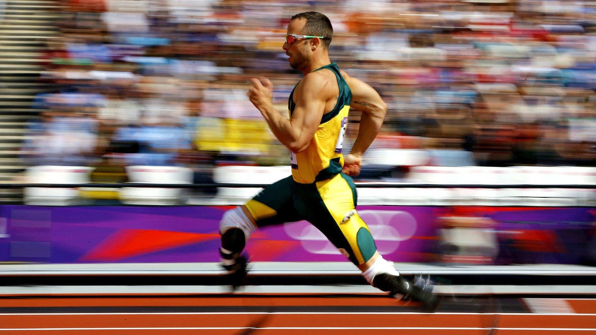 “马丁·高尔西：未来美洲狮队的防守核心”